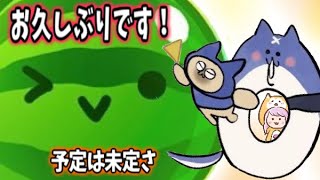 【予定は未定さ】皆様お久しぶりです💕雑談、RISE、スイカゲーム何かしらやろうと思います(*´˘`*)