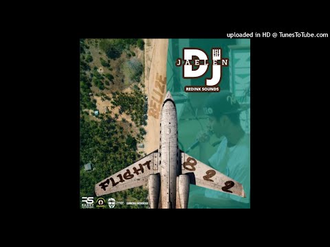 Den-z flight 822 mix