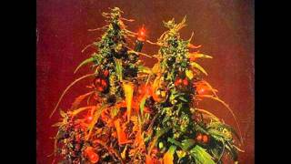 Christmas Medley - Joe Gibbs Family (Wish you a merry Rockers Xmas)