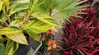 Plant Shopping at Lowes and Doing A LOT of Planting!  || Saturday Vlog