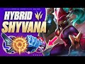 Buffed SHYVANA JUNGLE Is STRONG With This OP Hybrid Build! 🐲 (even though her win rate went down)