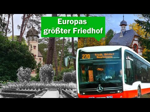 Dieser verwunschene Friedhof hat eigene Buslinien?