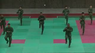 [分享] 國軍廢除傳統刺槍術後的「近戰格鬥」