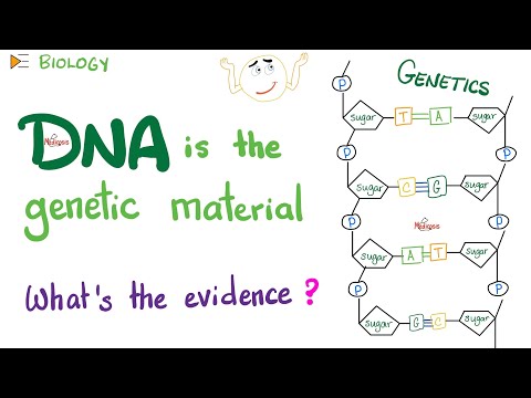 DNA is the genetic material | The Evidence! | Biology Lectures