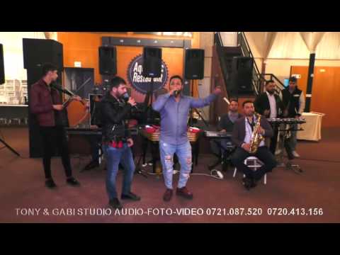 Rechinii din Oltenita - O valoare se cunoaste