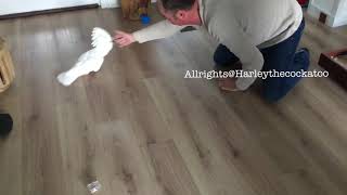 Swipe  swipe  swipe 🤣