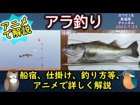 ダセロ・ノバエギニアエ