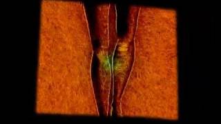 Juana Molina - Los Hongos de Marosa [edit]