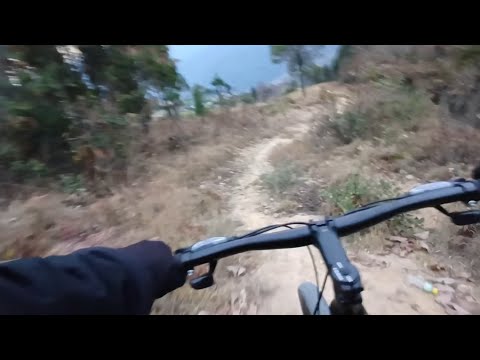 I Went Cycling downhill in the Forest