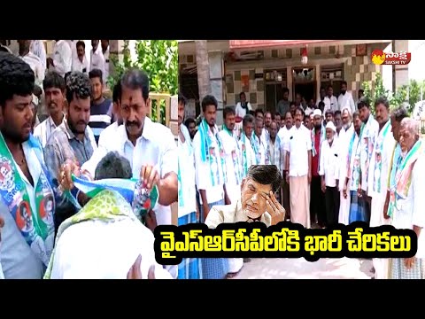 TDP Leaders Joins YSRCP Presence of  Mantralayam MLA Balanagi Reddy | Chandrababu @SakshiTVLIVE