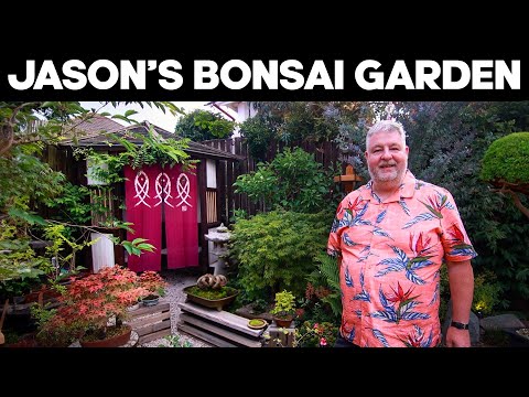 A Tour of Jason's Bonsai Garden