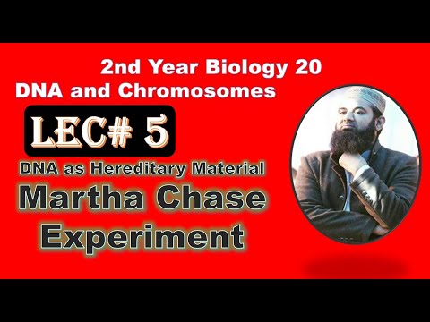 Martha chase Experiments Biology Ch#20-Lecture#5  (F.Sc 2nd Year)