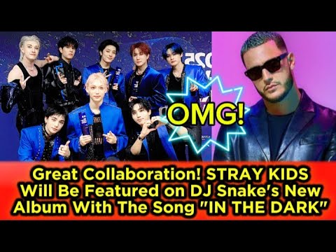 Great Collaboration! STRAY KIDS Will Be Featured on DJ Snake's New Album With The Song \IN THE DARK\