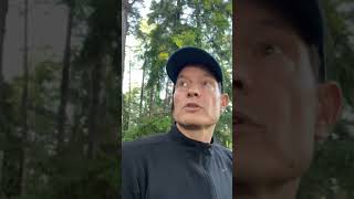 Initiativ 1415   Skoglig biologisk mångfald   områden med höga naturvärden   nyckelbiotoper