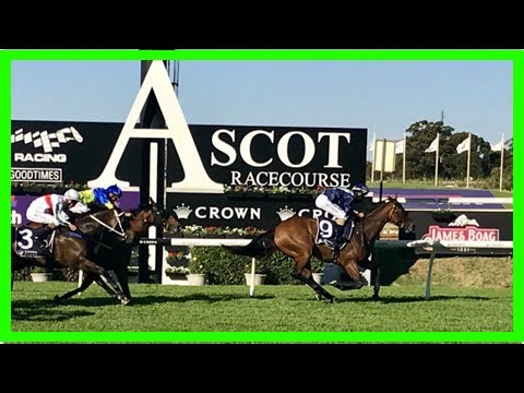 Nearly horse no longer as viddora wins winterbottom stakes