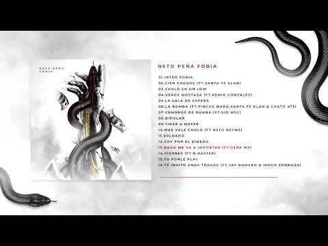 13. Nada Me Va A Importar (FT. Gera MX) | FOBIA