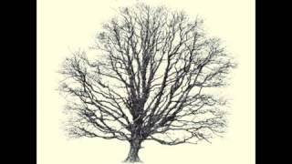 Perry Blake - Forgiveness