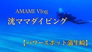 奄美大島🌺ダイビングVlog。北部パワースポットの海の中🌊「蒲生崎」