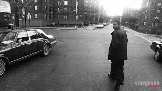 Nas - Survive (2Pac &amp; Biggie Tribute) (DJ Slaughter)