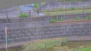 稲荷橋映像監視局