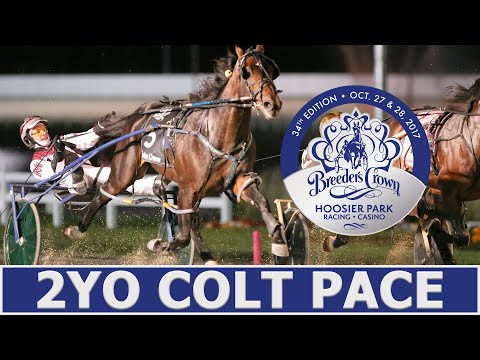 2017 Breeders Crown - Stay Hungry - 2YO Colt Pace