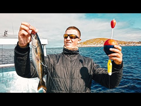 With float and bait fish for deep-sea giants! Fishing at its best