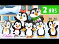 Five Little Penguins Went Out One Day More Kids Songs Nursery Rhymes