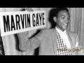 Marvin Gaye - Funny (Not Much) Previously Unreleased (1977, 1997)