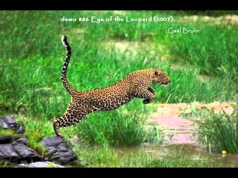 Gaël Brulin - demo #86 Eye of the Leopard (2005)