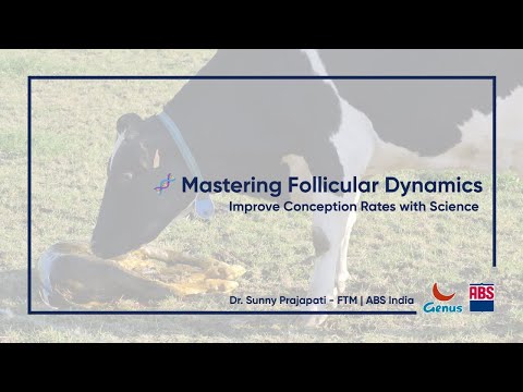 Understanding Follicular Dynamics | Boost Reproduction Success in Dairy Cattle