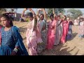 अवली नाचे छोरी नाचे पहले सॉरी घागरो aadivasi video song vipul garasiya