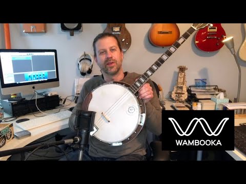 Does the Wambooka Performer Pad work on a Banjo?