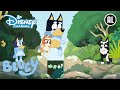 Bluey | ? Op avontuur naar de beek | Disney Channel NL