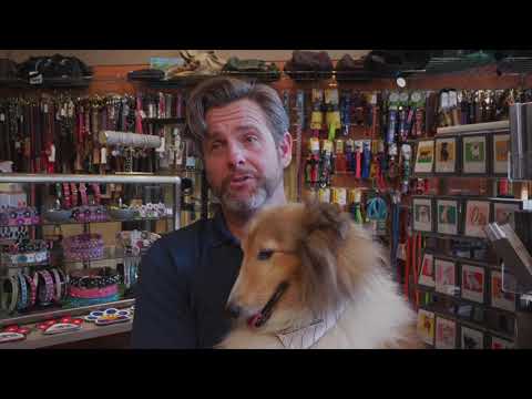 download lagu mp3 mp4 Edward Staudenmayer, download lagu Edward Staudenmayer gratis, unduh video klip Edward Staudenmayer