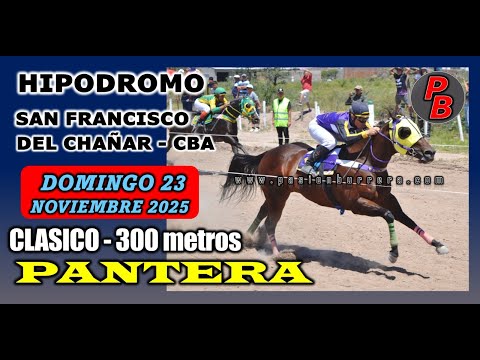 PANTERA: HIPODROMO SAN FRANCISCO DEL CHAÑAR - CORDOBA (23-11-2025)