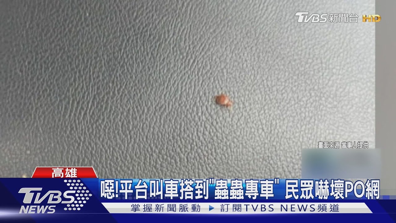 平台叫車搭到「蟲蟲專車」 醫師研判是壁蝨 嚴重恐得傳染病