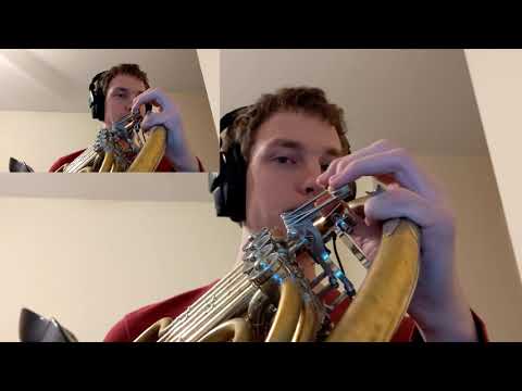 Sean Mendes and Camilla Cabello Señorita French Horn Cover