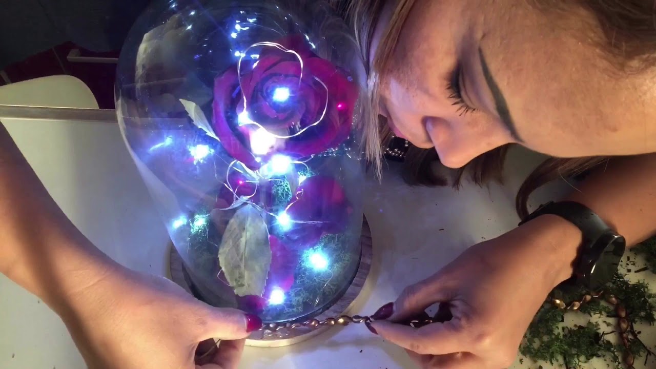 Rosa essiccata la Bella e la Bestia!