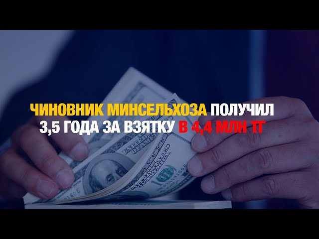 Главные новости 11.12.2024 г.