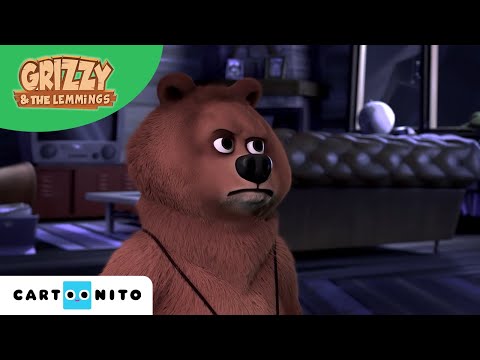 GRIZZY VE LEMMINGLER | Minik Grizzy | @CartoonitoTurkiye