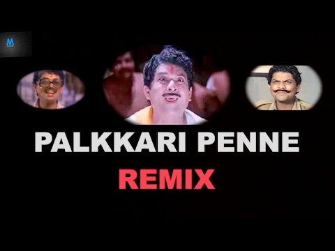 Palkkari Penne Remix | Jagathy Sreekumar | New Malayalam Song Remix