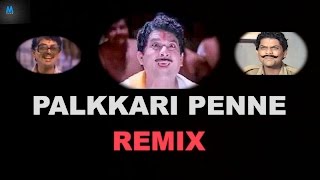 Palkkari Penne Remix | Jagathy Sreekumar | New Malayalam Song Remix