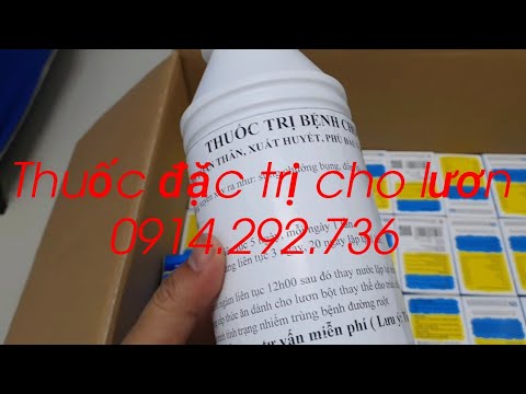 Thức ăn giúp lươn mau lớn, ngừa bệnh đường ruột | 0914.292.736