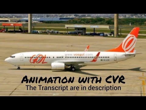Gol Transportes Aéreos Flight 1907 Crash || Animation with CVR. (Subtitles/CC On)