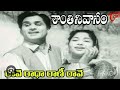 Rave Radha Rani Rave Song