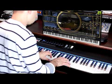 QUANTUM LEAP PIANOS  Bösendorfer