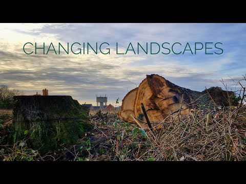 Changing Landscapes | Hethersett | November 2025