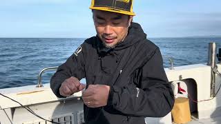 爆釣！浜名湖沖バチコンゲーム