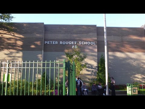 New York City Schools Update