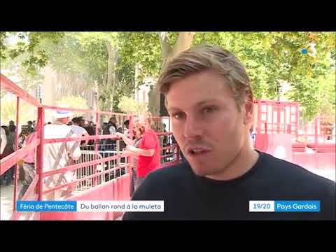 Renaud Ripart torée 07 06 2019